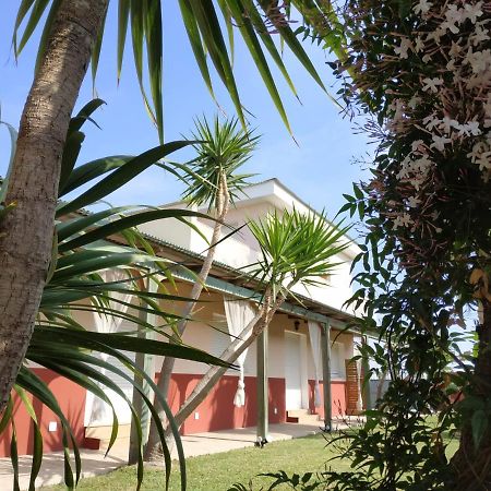 Casablanca El Petit Hotel Deltebre Εξωτερικό φωτογραφία