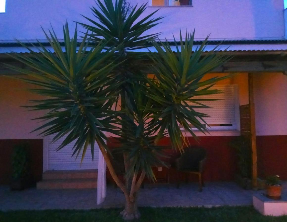 Casablanca El Petit Hotel Deltebre Εξωτερικό φωτογραφία